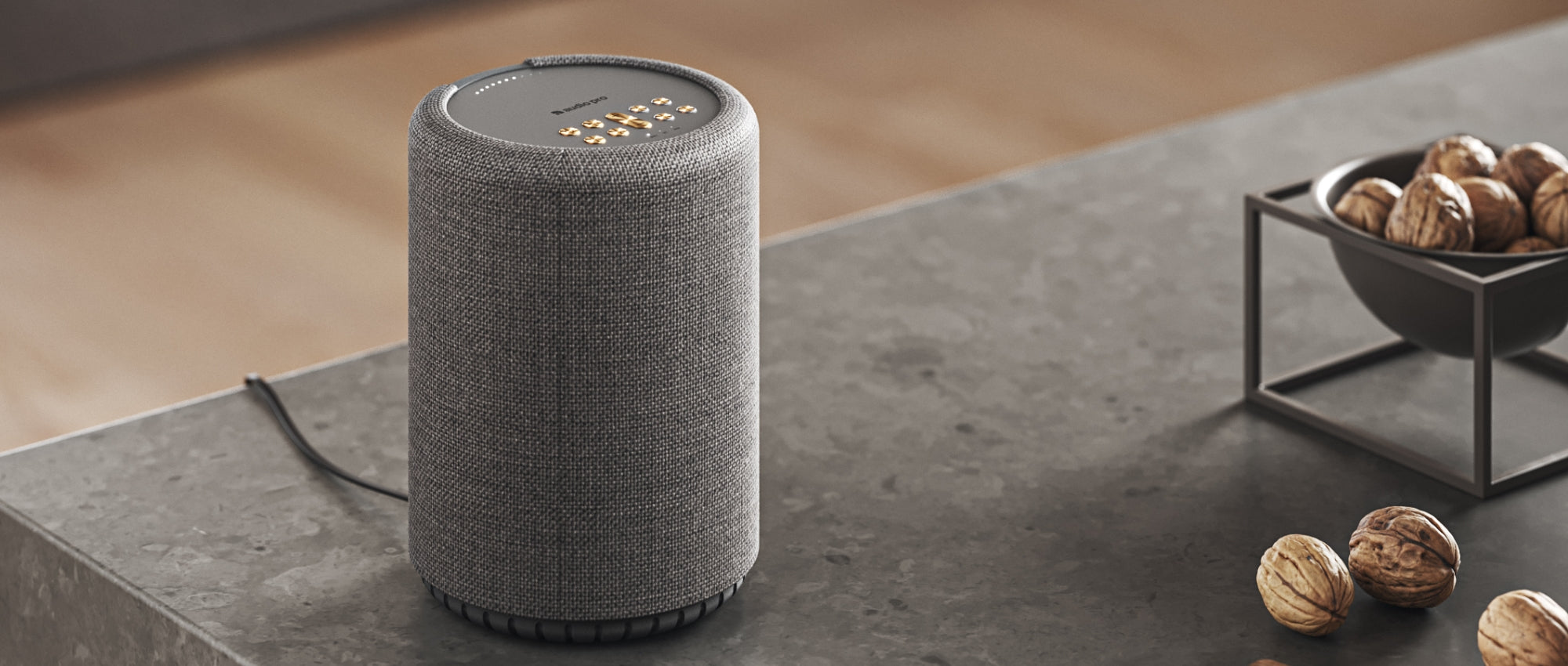 Audio Pro Control App